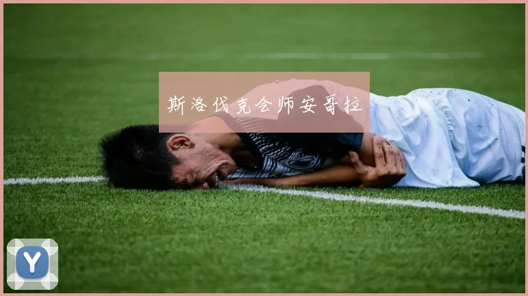 斯洛伐克会师安哥拉