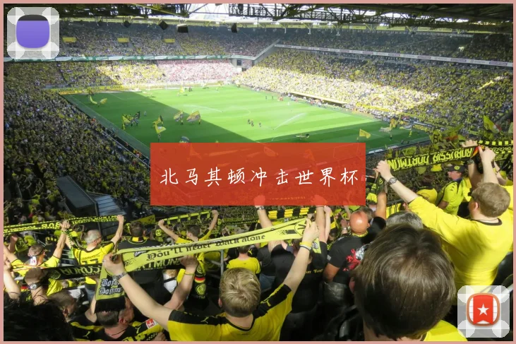 北马其顿冲击世界杯