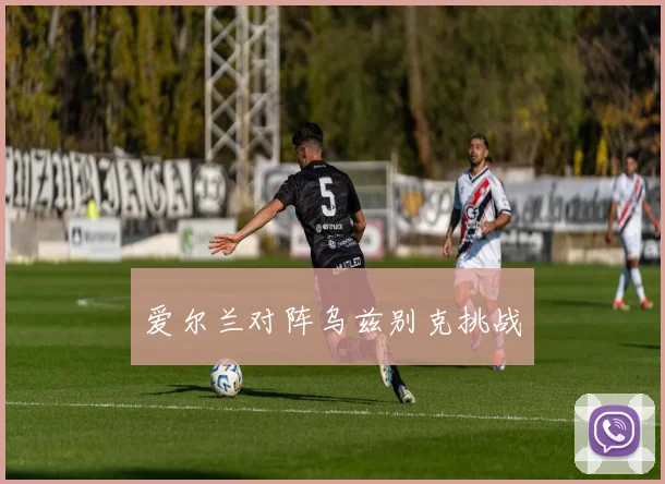 爱尔兰对阵乌兹别克挑战