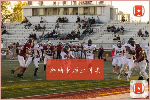 加纳会师土耳其