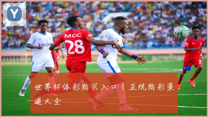 世界杯体彩购买入口｜正规购彩渠道大全