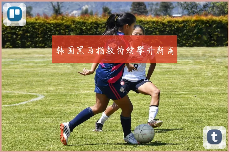韩国黑马指数持续攀升新高