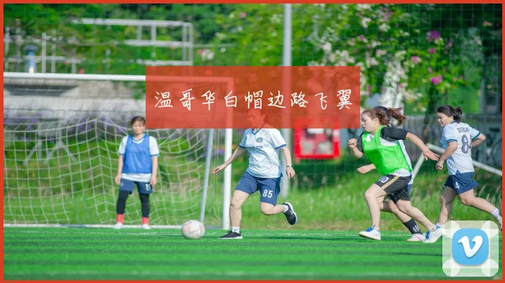 温哥华白帽边路飞翼