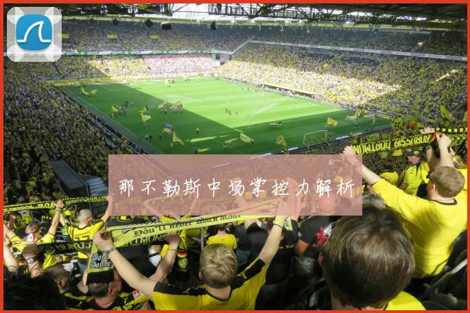 那不勒斯中场掌控力解析