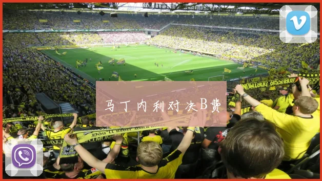 马丁内利对决B费