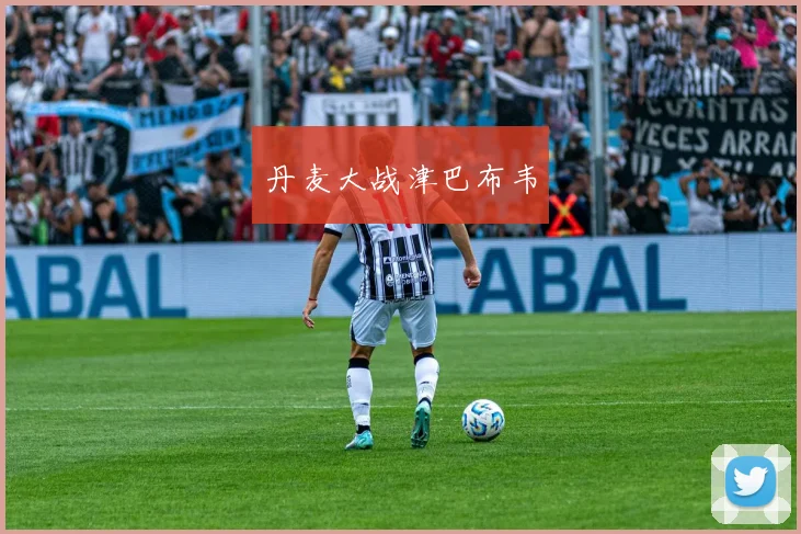 丹麦大战津巴布韦