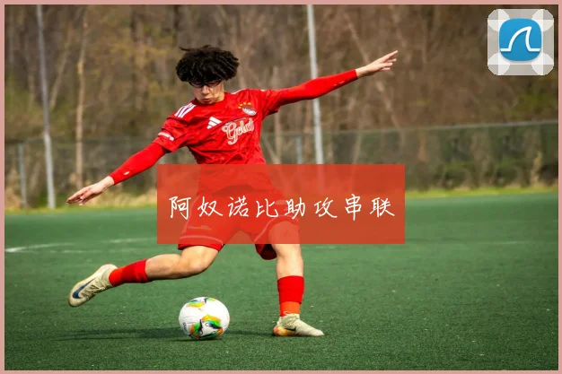 阿奴诺比助攻串联