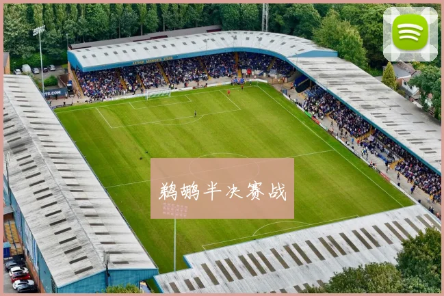 鹈鹕半决赛战