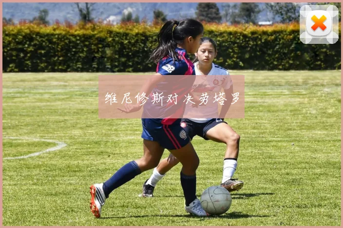 维尼修斯对决劳塔罗