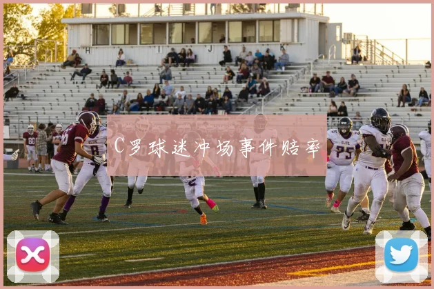 C罗球迷冲场事件赔率