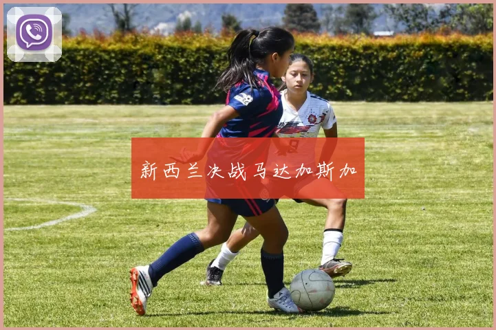 新西兰决战马达加斯加