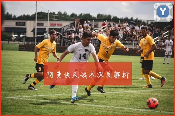 阿曼快反战术深度解析