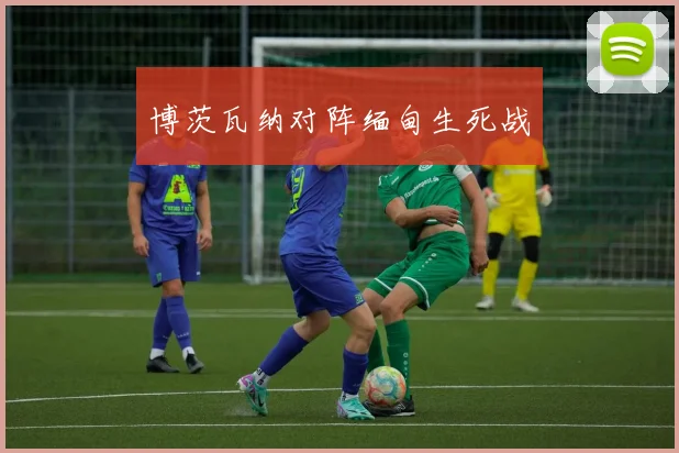 博茨瓦纳对阵缅甸生死战