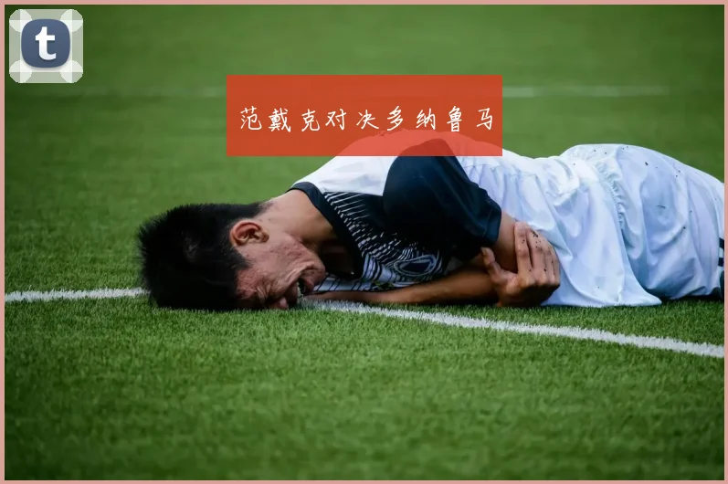 范戴克对决多纳鲁马