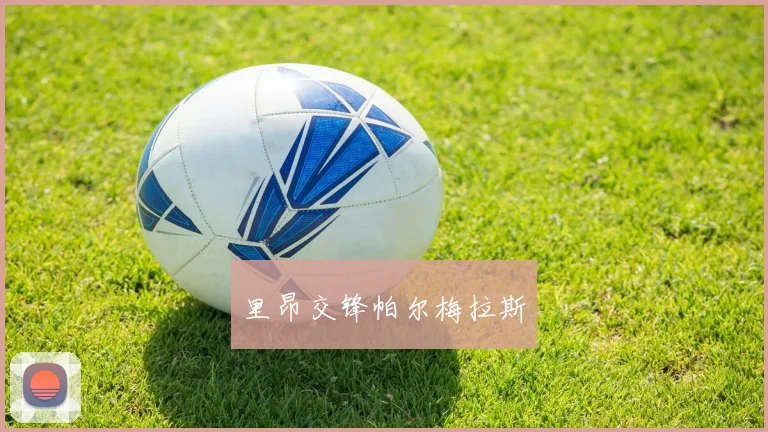 里昂交锋帕尔梅拉斯