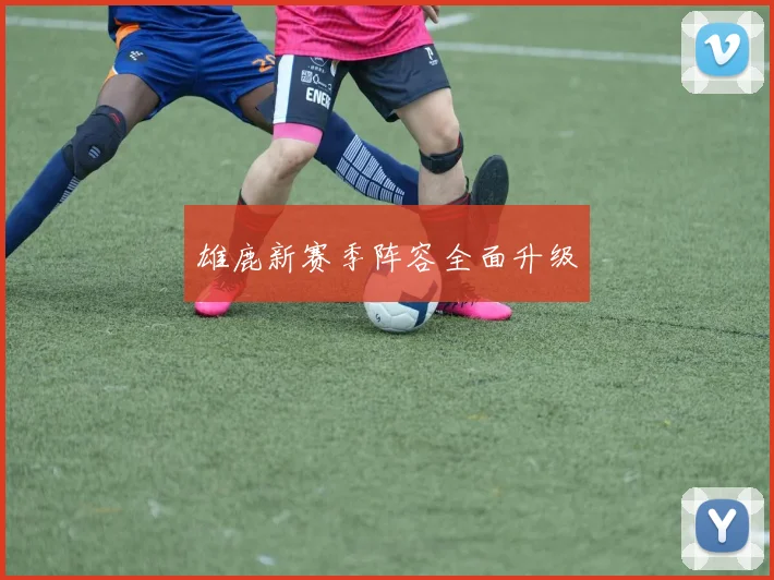 雄鹿新赛季阵容全面升级