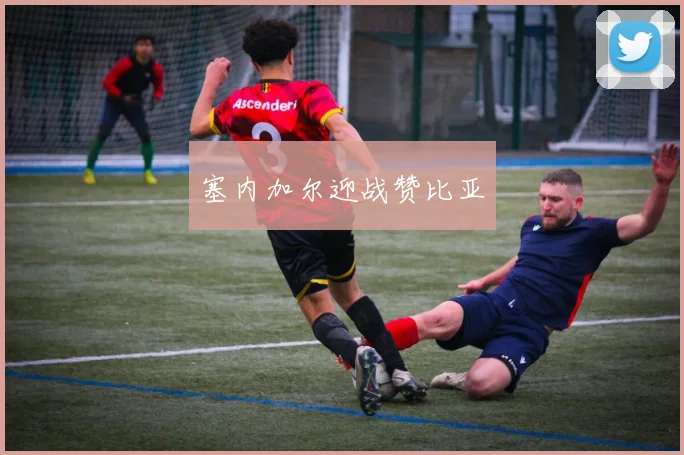 塞内加尔迎战赞比亚