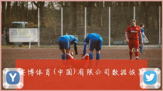 安博体育(中国)有限公司数据恢复