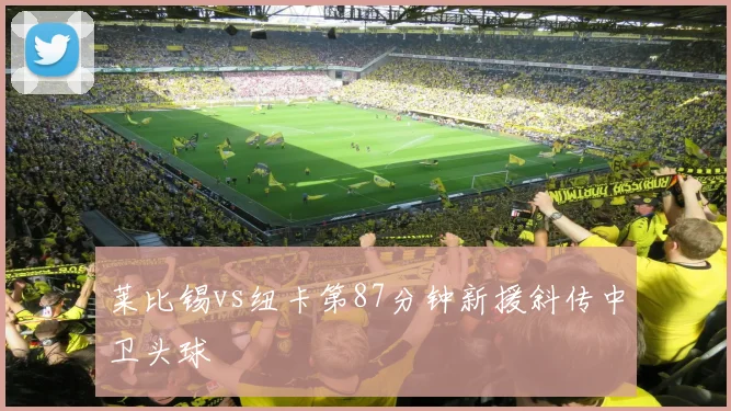 莱比锡vs纽卡第87分钟新援斜传中卫头球