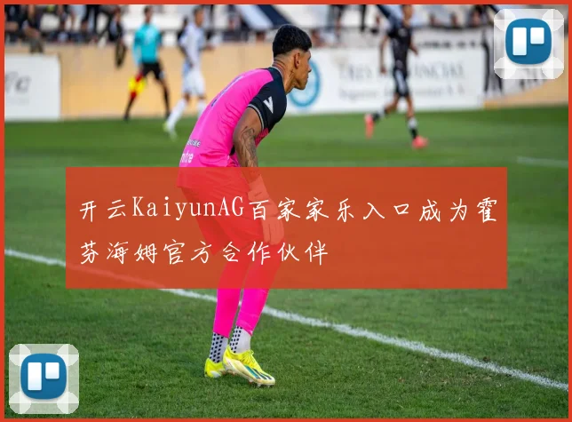 开云KaiyunAG百家家乐入口成为霍芬海姆官方合作伙伴