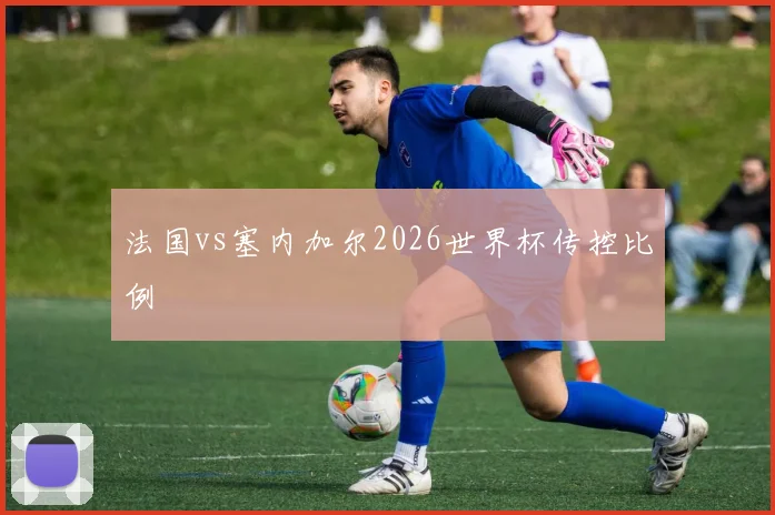 法国vs塞内加尔2026世界杯传控比例