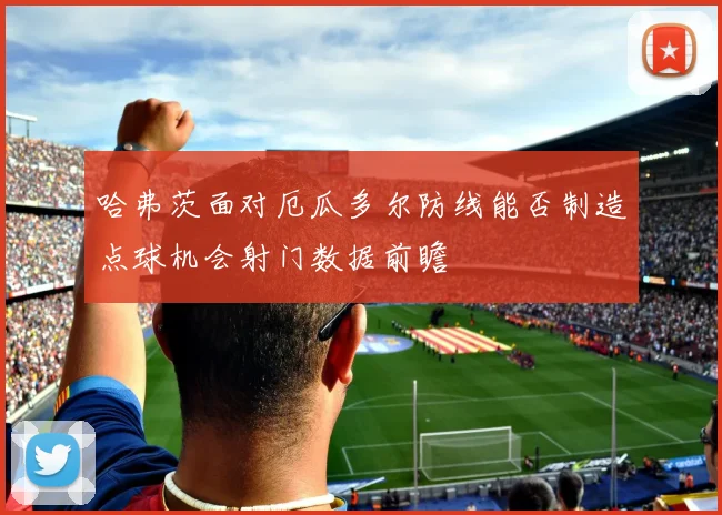 哈弗茨面对厄瓜多尔防线能否制造点球机会射门数据前瞻